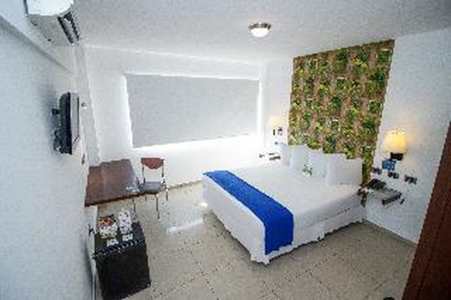foto-1