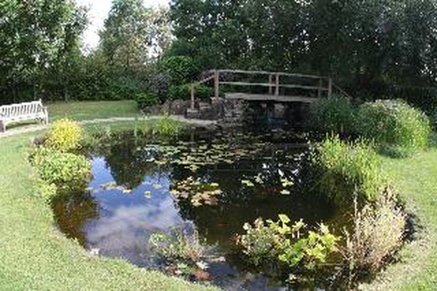 photo-1