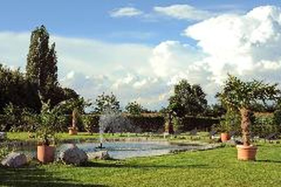 foto-1