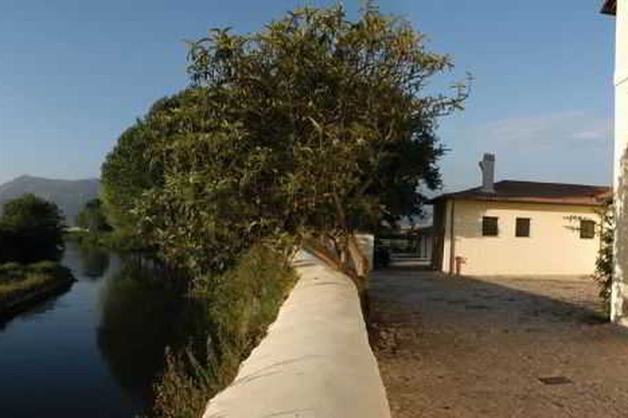foto-1