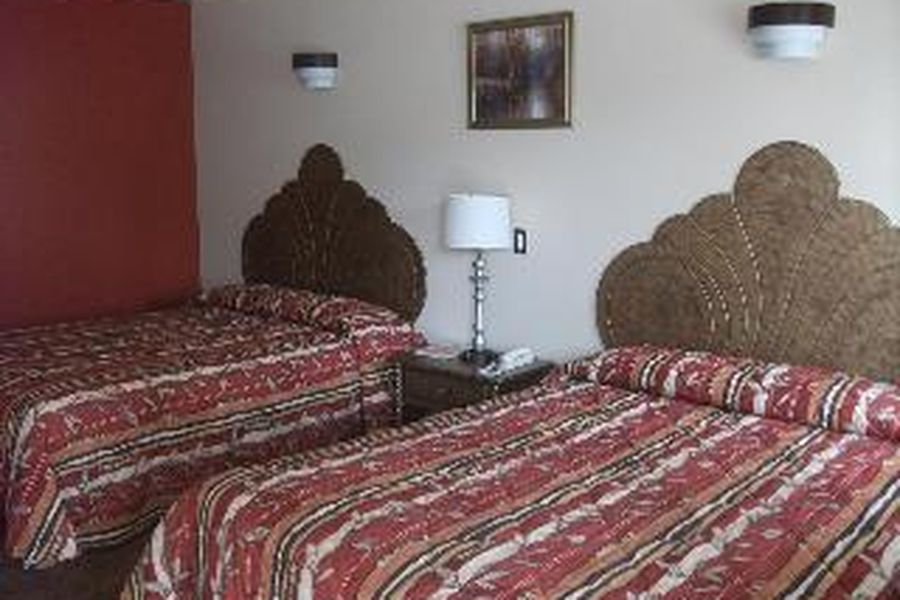 photo-1