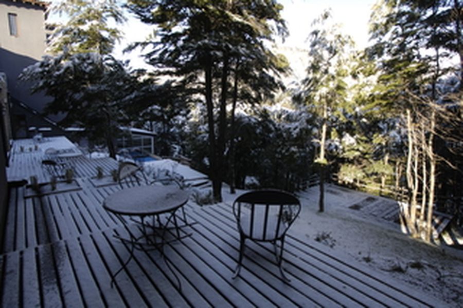 photo-1