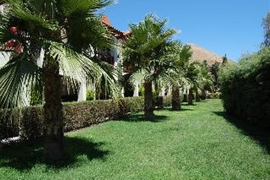 photo-2