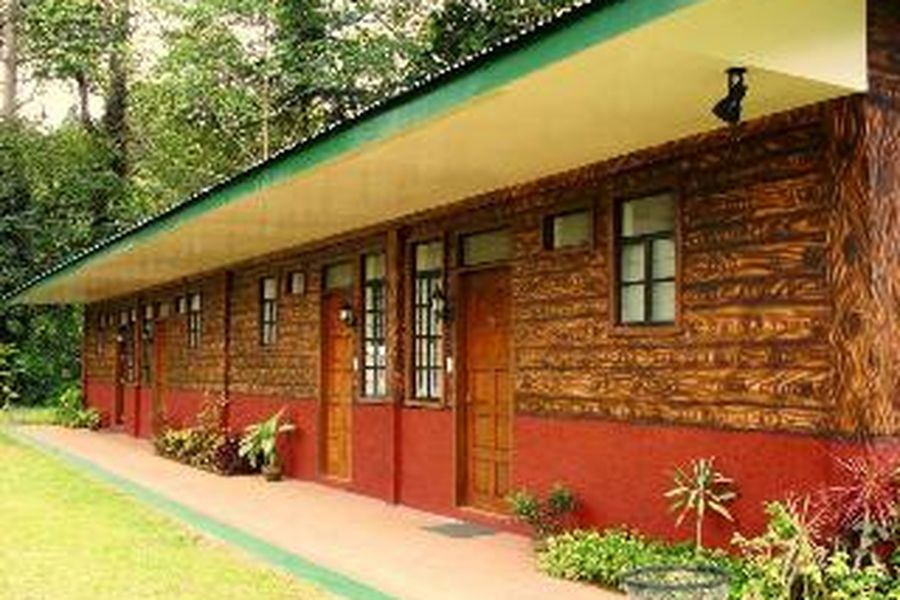 foto-1
