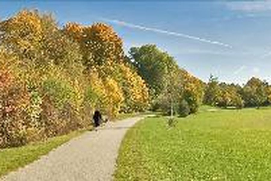 photo-1