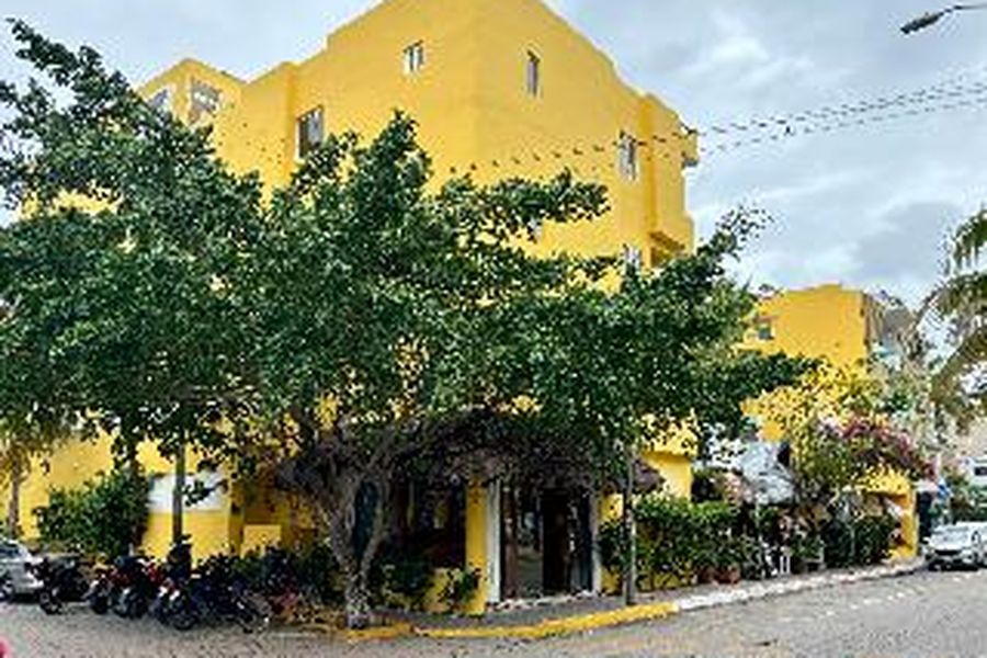 photo-1