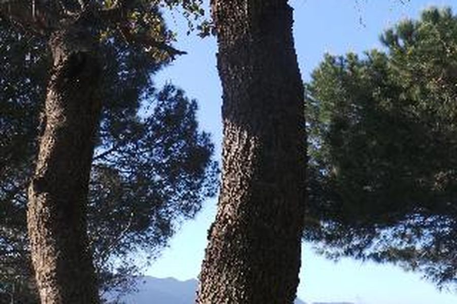 foto-3