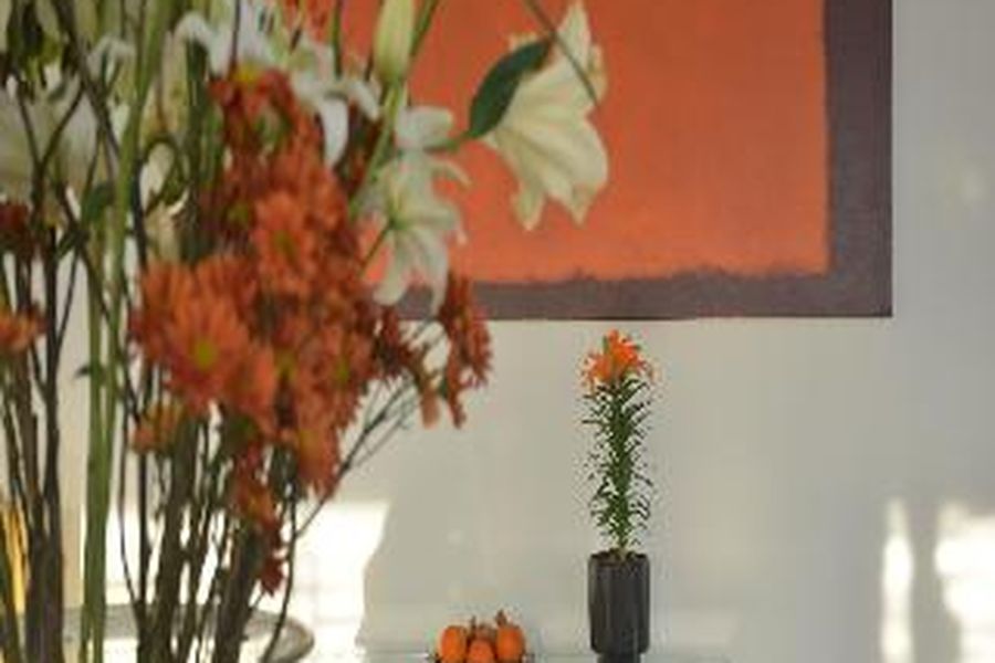 photo-2