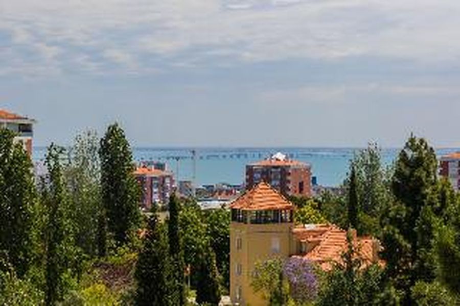 photo-3