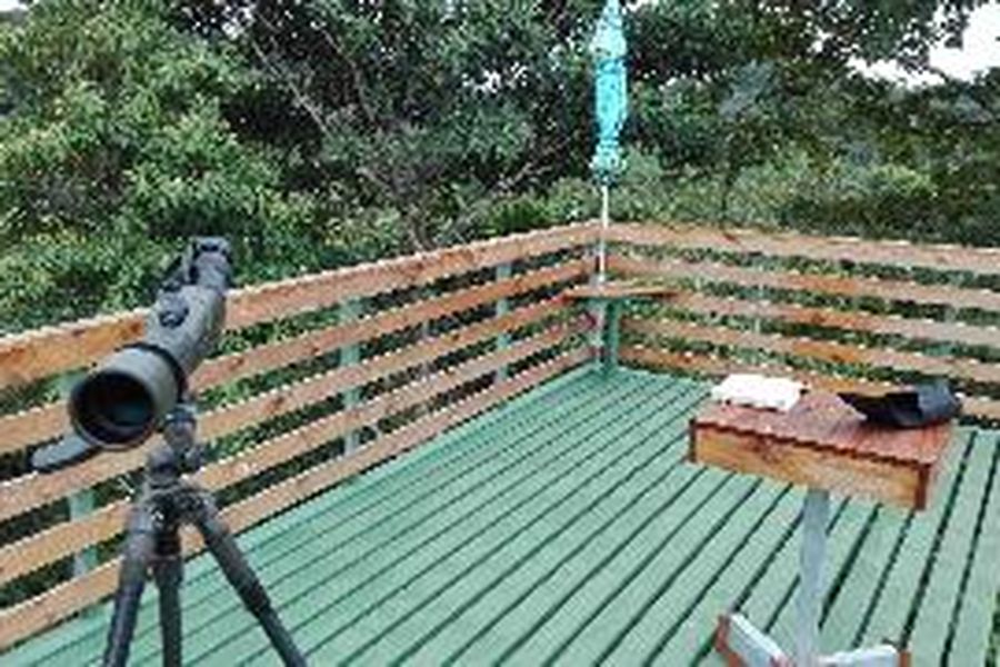 photo-2