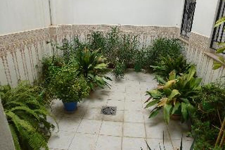 foto-2