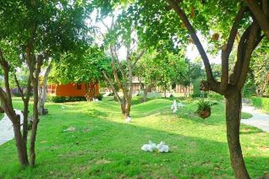 foto-3