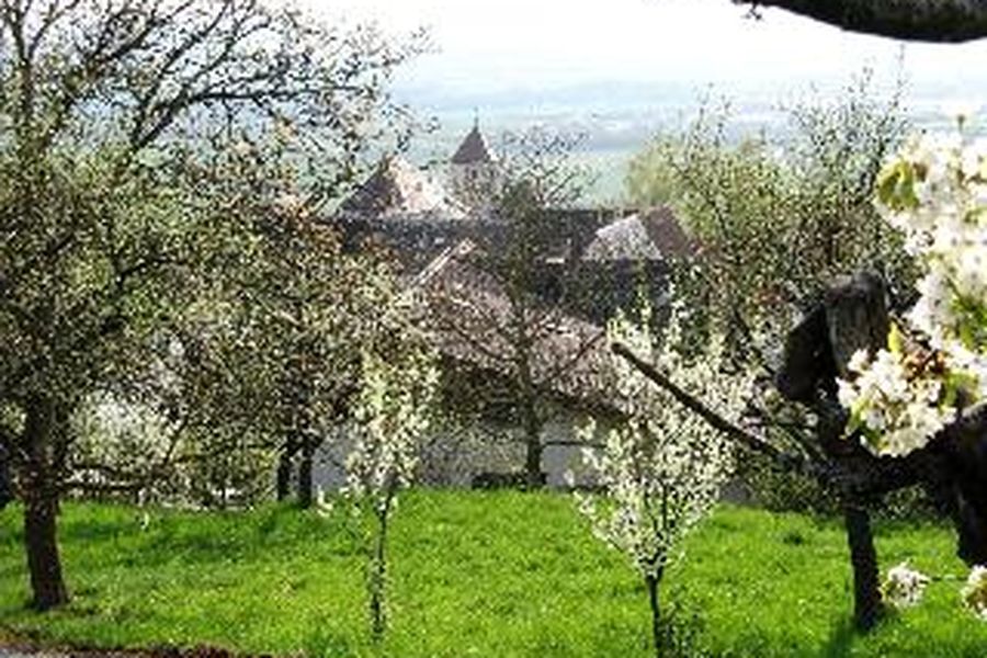 foto-2