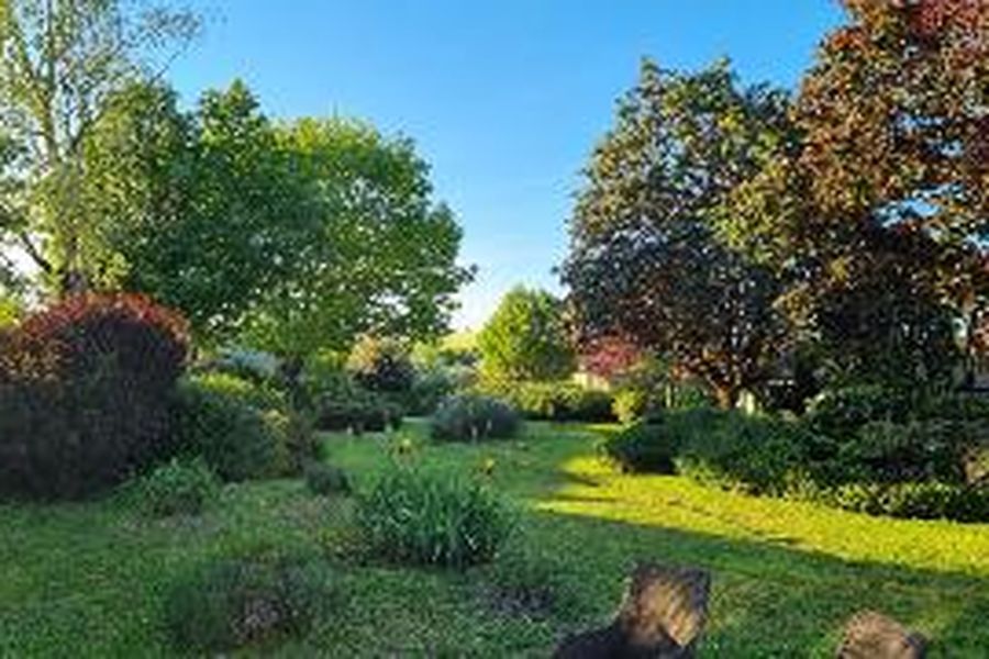 photo-3