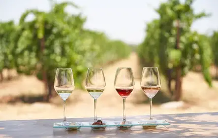 'Degustação de vinhos Enoma em Kos