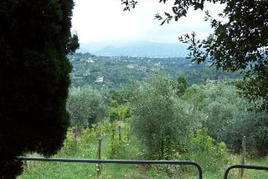 photo-1