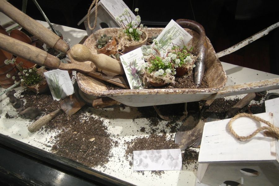 photo-1