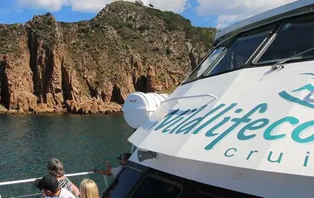 Crucero por el cabo Woolamai desde San Remo