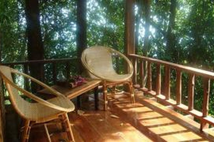 photo-3