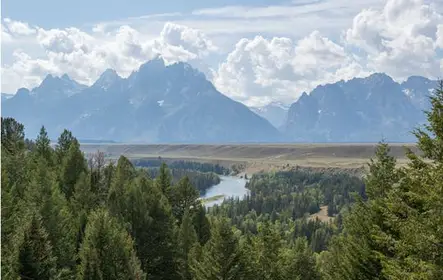 Safári ao pôr do sol da vida selvagem no inverno e na primavera saindo de Jackson Hole