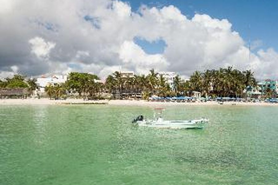 photo-3