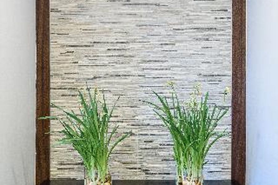 photo-3