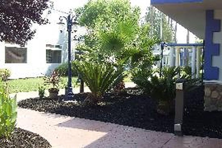 photo-3