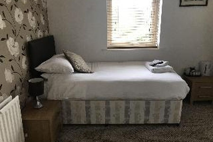 photo-1