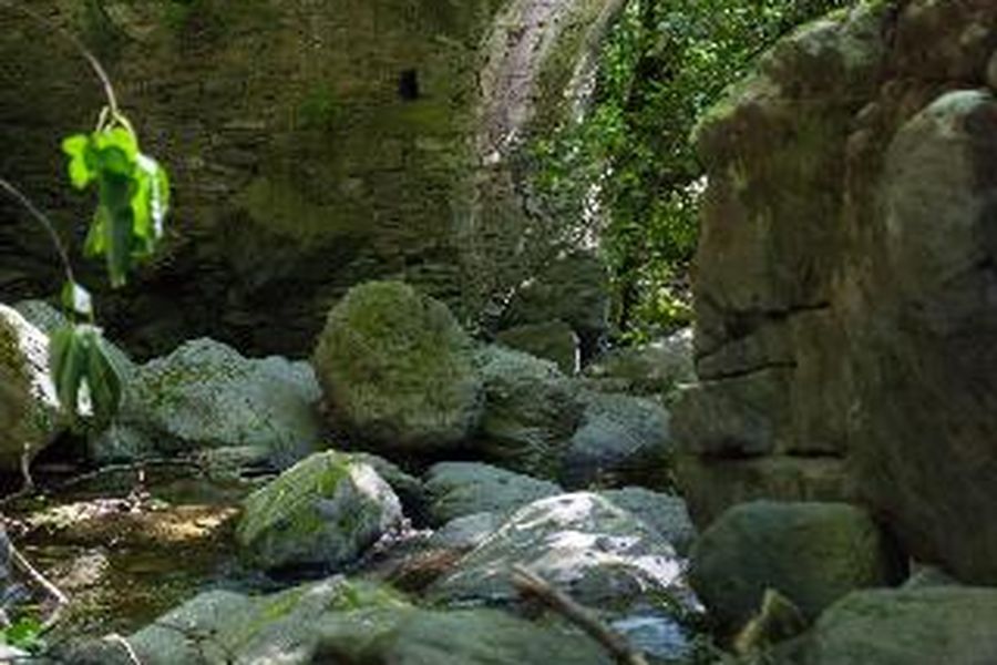 foto-2