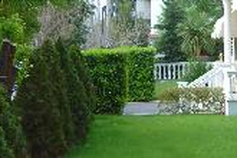 photo-1