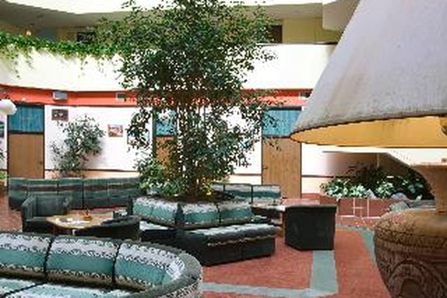 foto-2