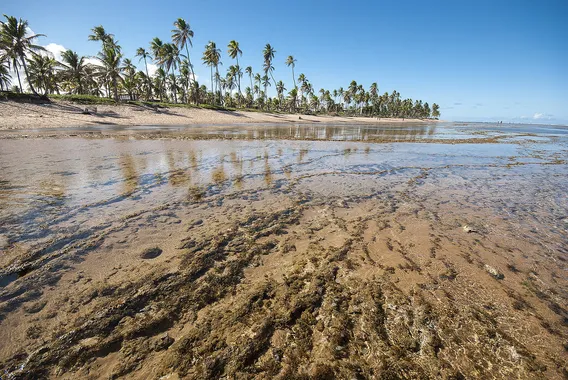 Águas Cristalinas, BA