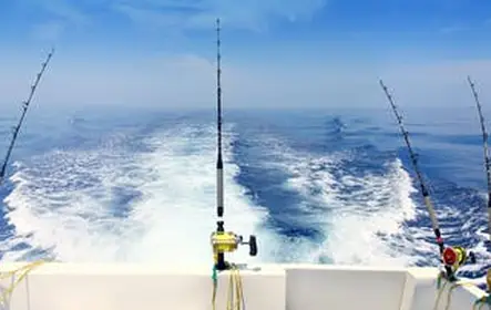 Tour de pesca en Agadir