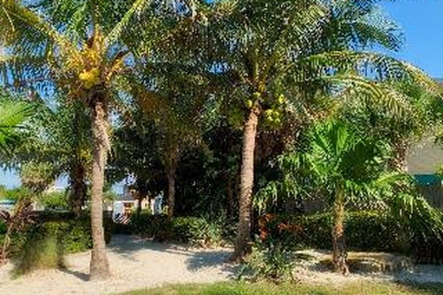 foto-1