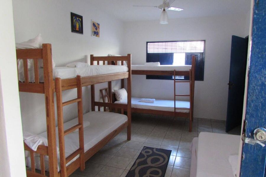 foto-1
