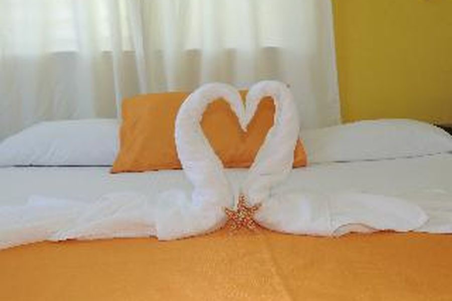 photo-3