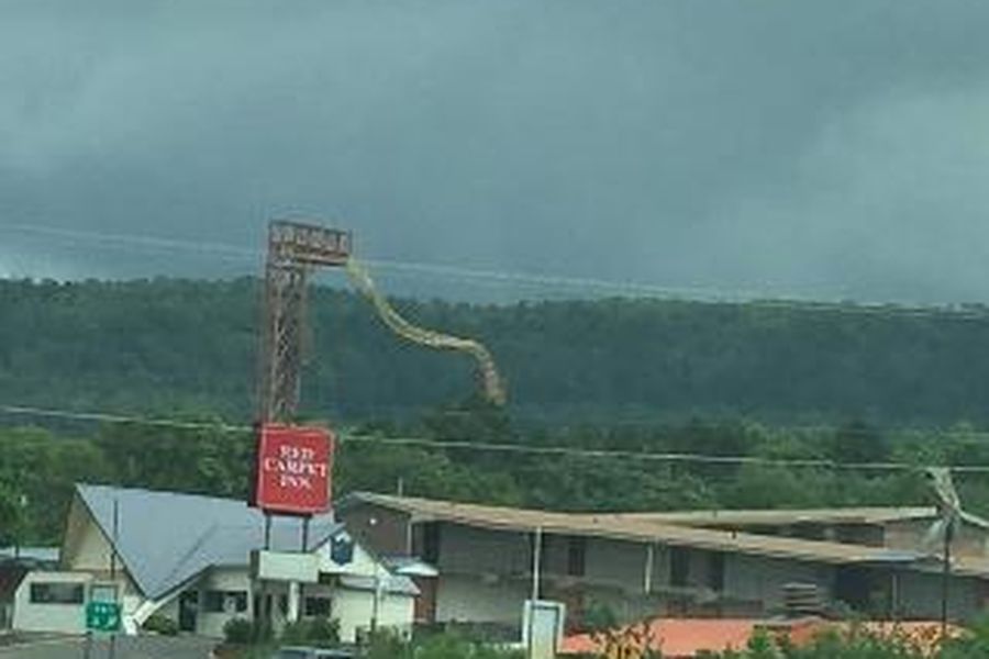 foto-3