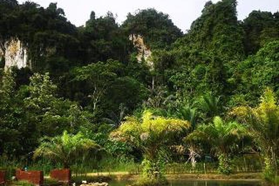 foto-2