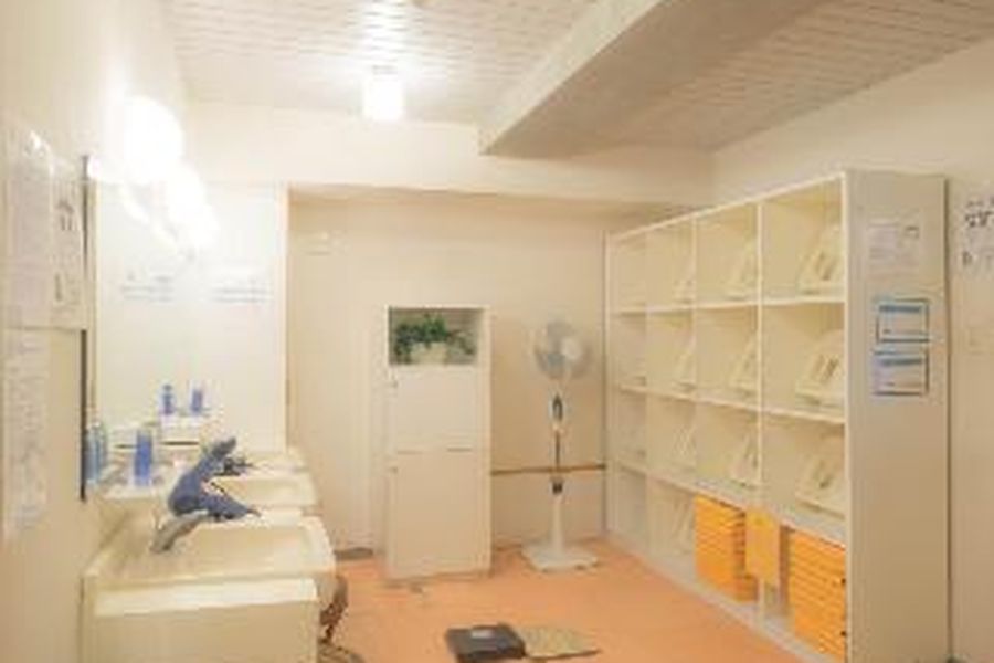 foto-2
