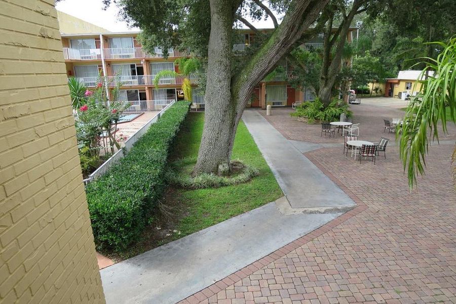 photo-3