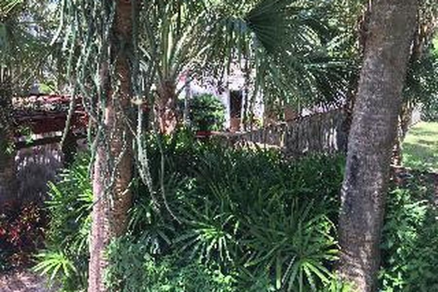 photo-3