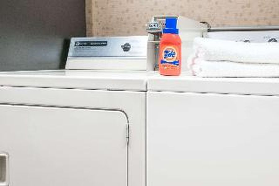 photo-1