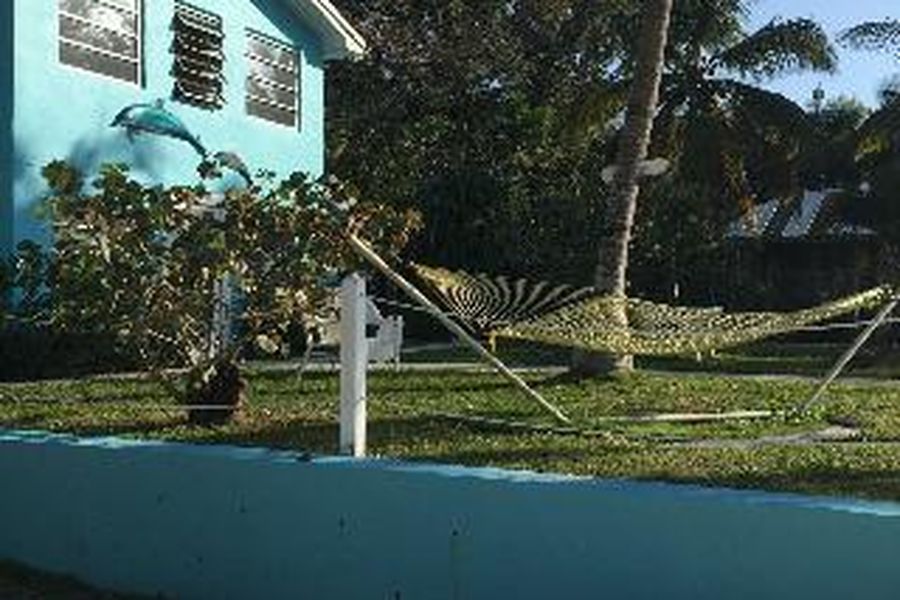 foto-1