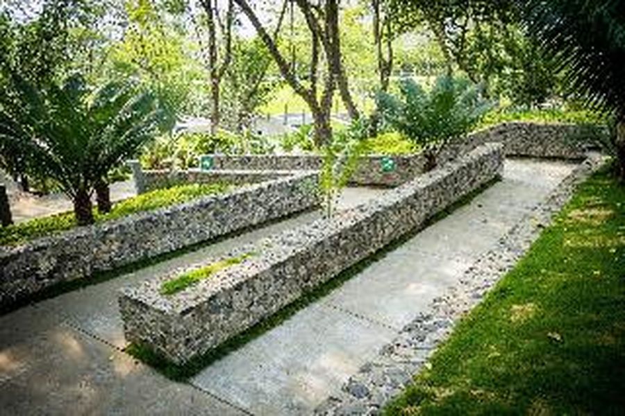 foto-1