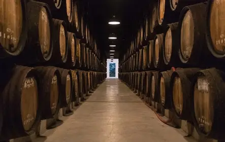 Caves Poças: visita guiada + degustación de 3 vinos de Oporto
